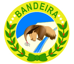 Brasão de Bandeira - MG